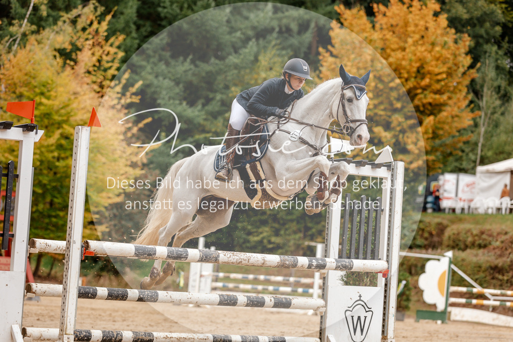 3I6A6837 | Stimmungsvolle Portraits und Reitsportfotografie im Ruhrgebiet und im Münsterland.

Pferdefotografie, Hundefotografie, Tierfotografie, Reportagen, Portraits von Tier und Mensch, Turnierfotografie in Bochum, Recklinghausen, Marl, Haltern am See, Dülmen.. - Realisiert mit Pictrs.com