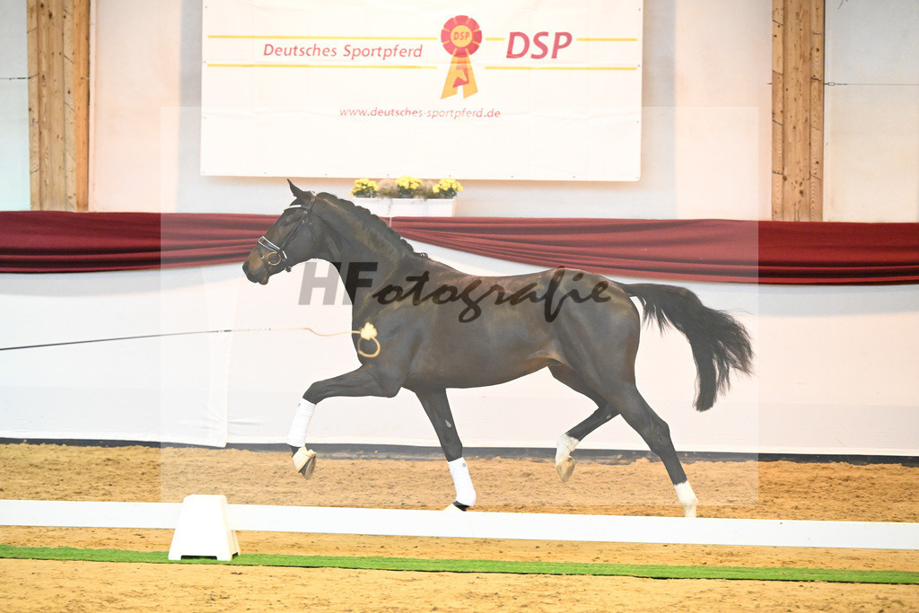 Kat-Nr. 77 v. Valentino Rossi_Ederle_66222370 | hf-fotografie - Realisiert mit Pictrs.com