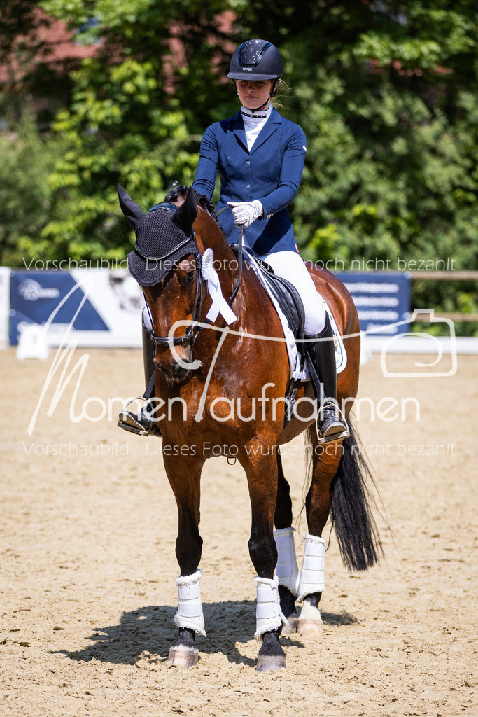 Donop24-L-Dre-129 | MomenTaufnahmen Pferdesportfotos