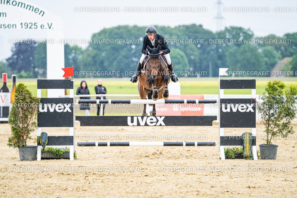 DSC07275 | Pferdegrafie