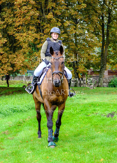 Jagd Kletkamp 26-9468_MarinaHewig | Fotografie, FotoArt, PferdesportArt, Pferdesportfotografie, Landschaftsfotografie, Reisefotografie, Reise, Pferde - Realisiert mit Pictrs.com