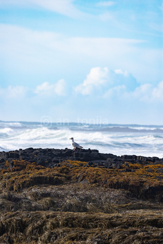 JB3A3079 | antonija-trupina - Realisiert mit Pictrs.com