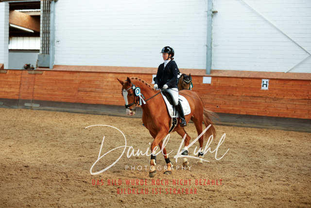 _62_5069 | Turniersportfotografie; Pferdefotografie; Dressurfotografie