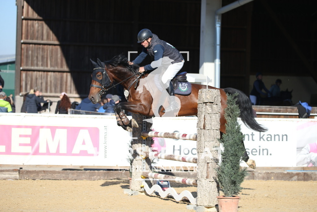 DL2Q1199 | Willkommen bei Brunnmayr - Design & Fotografie – Ihrem Spezialisten für Reitturniere und Pferdeveranstaltungen in Oberösterreich, Salzburg und Bayern! Seit über 17 Jahren sind wir leidenschaftlich dabei.