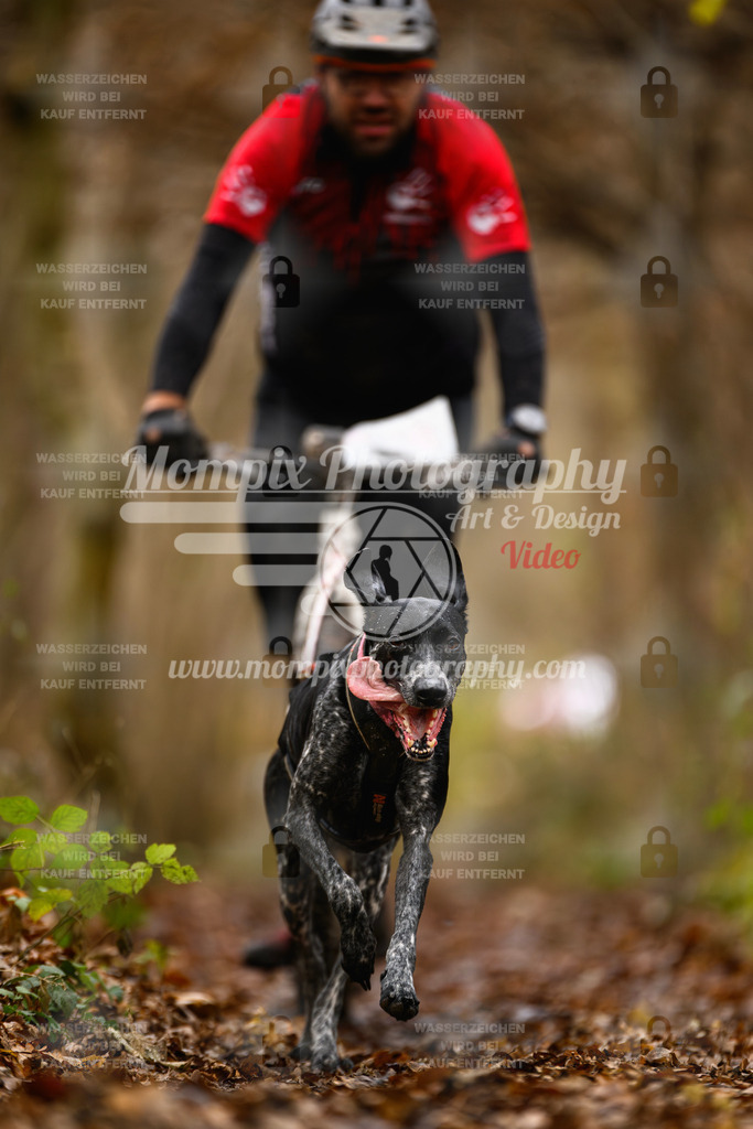 MompixPhotography_Eschau2024_DS1-16 | PayLife