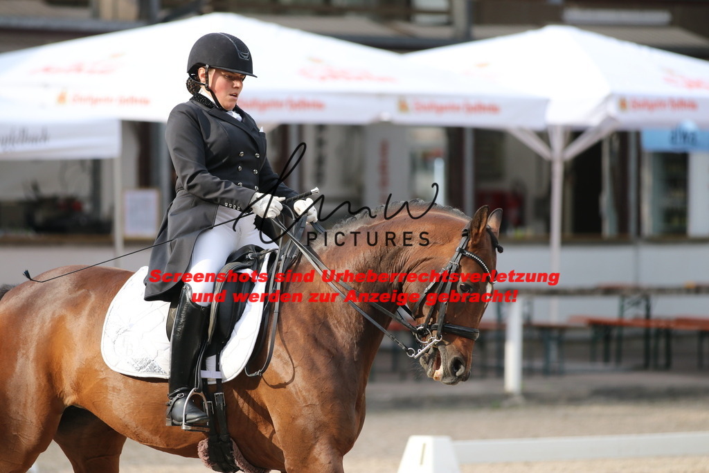 IMG_6153 | lmwpictures - Realisiert mit Pictrs.com