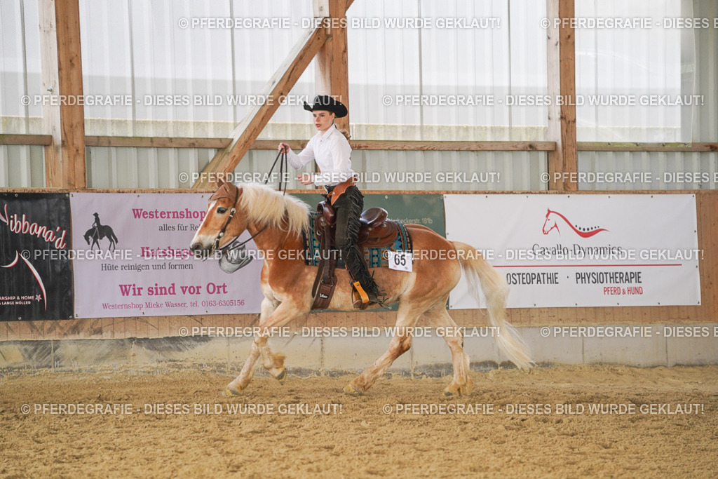 DSC01215 | Pferdegrafie