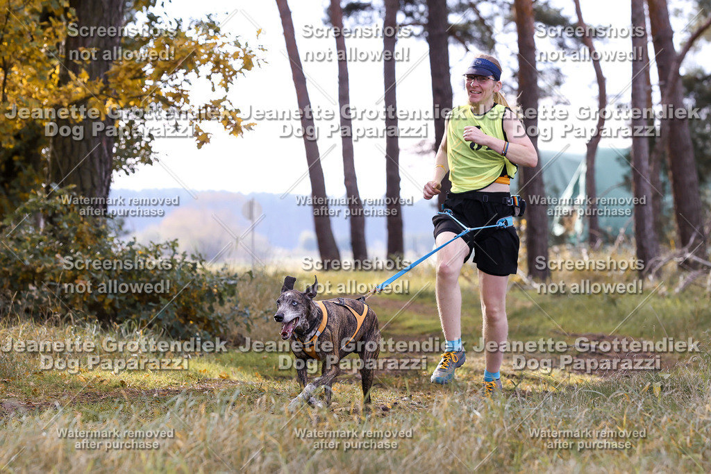 Dog Paparazzi - Elsholz 25 -191 | Dog Paparazzi Jeanette Grottendiek Fotografie & Videografie - Realisiert mit Pictrs.com