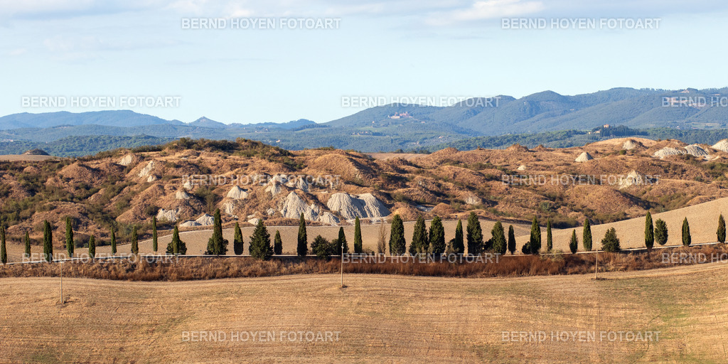 cypresses 002 | Fotografie in der Toskana, Italien.
Südlich von Siena in der Nähe des kleinen Städtchens Asciano liegt die wundervolle Landschaft der Crete Senesi. Sanfte Hügel, unzählige Zypressen und kleine, weiße Hügel (die durch Verwitterung der Tonerde entstehen) machen den Reiz dieser speziellen Landschaft aus. | Photography in Tuscany, Italy.
South of Siena, near the small town of Asciano, lies the marvellous landscape of the Crete Senesi. Gentle hills, countless cypresses and small, white hills (created by the weathering of the clay) make up the charm of this special landscape. - Realisiert mit Pictrs.com