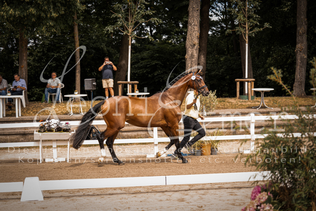 4.Fr00010 | Leoni Ertmer Photography - Realisiert mit Pictrs.com