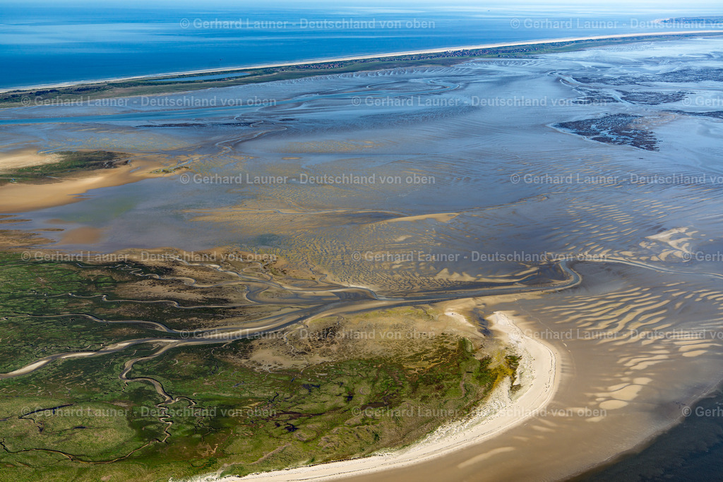 3801504 | Vogelschutzgebiet Nationalpark Niedersächsisches Wattenmeer