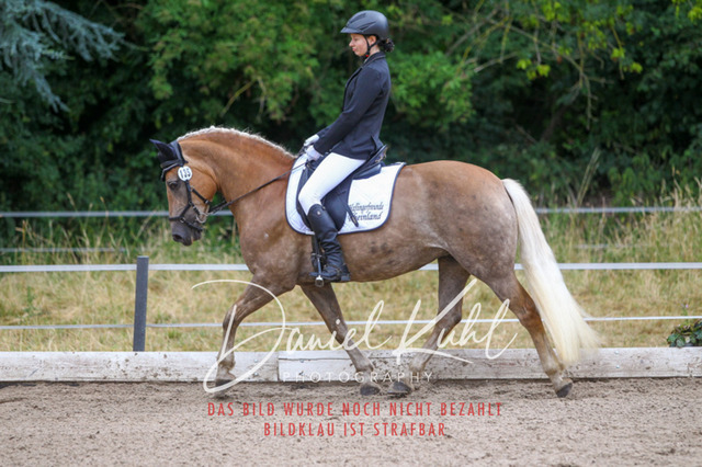 DKP47250 | Turniersportfotografie; Pferdefotografie; Dressurfotografie