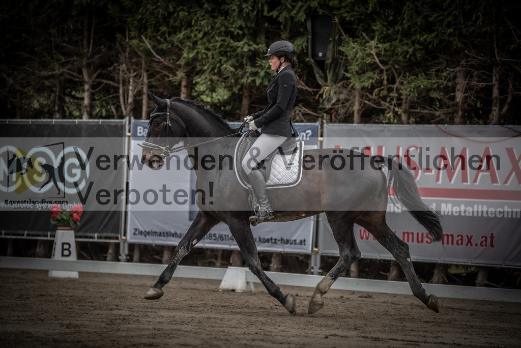 DSC_9282 | equestrian-live-com
