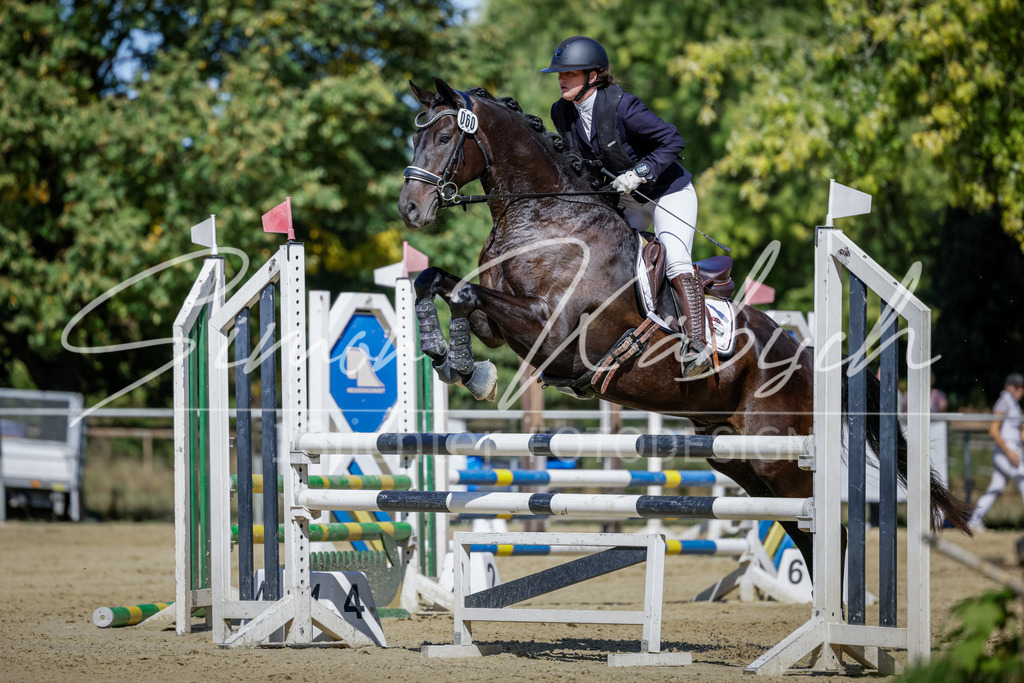 20250906-_3LI3921 | Tierfotografie Pferde, Hunde, Katzen, Haustiere.
Turnierfotografie Reitturniere, Reiten, Springreiten, Dressur in Hanau, dem Main-Kinzig-Kreis und dem Rhein-Main- Gebiet um Frankfurt