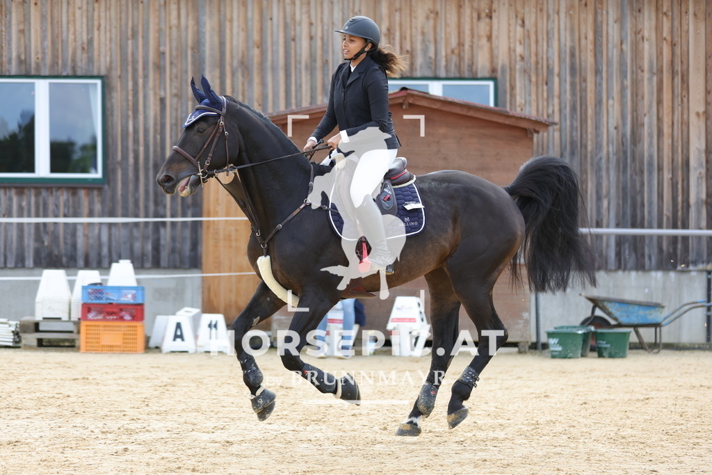 0P6A9402 | Willkommen bei Brunnmayr - Design & Fotografie – Ihrem Spezialisten für Reitturniere und Pferdeveranstaltungen in Oberösterreich, Salzburg und Bayern! Seit über 17 Jahren sind wir leidenschaftlich dabei.