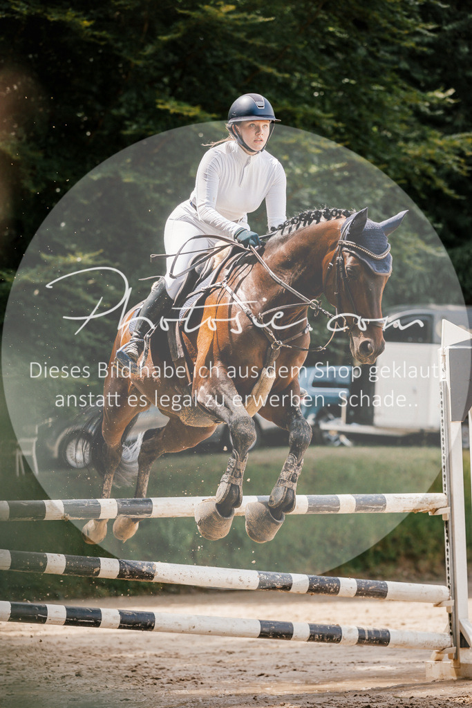3I6A7925 | Stimmungsvolle Portraits und Reitsportfotografie im Ruhrgebiet und im Münsterland.

Pferdefotografie, Hundefotografie, Tierfotografie, Reportagen, Portraits von Tier und Mensch, Turnierfotografie in Bochum, Recklinghausen, Marl, Haltern am See, Dülmen.. - Realisiert mit Pictrs.com