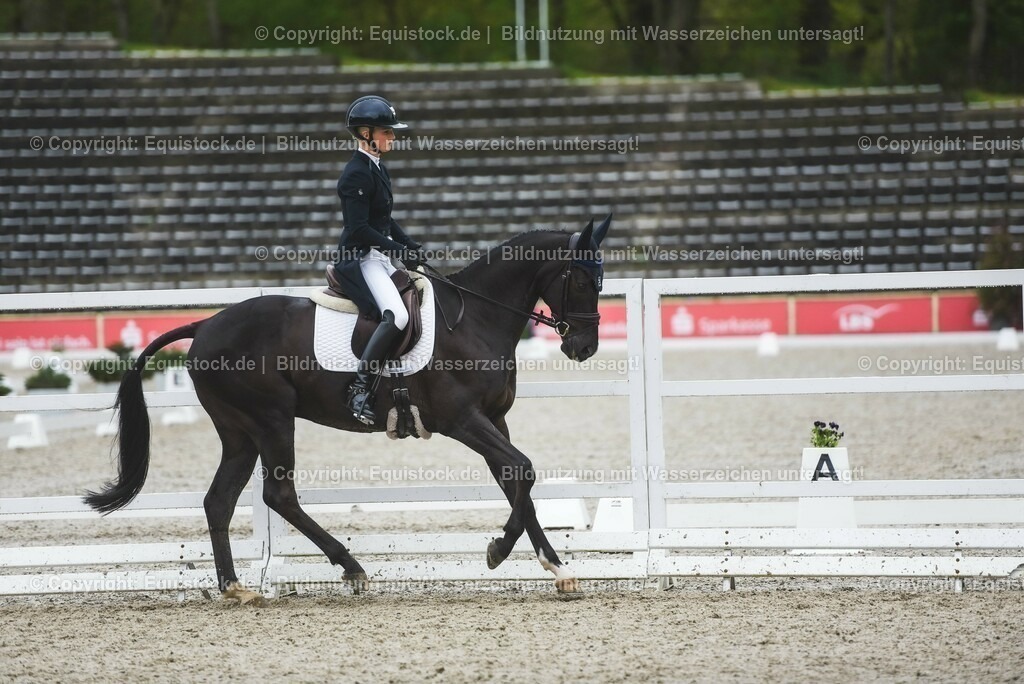 20230512_Impressionen_0009 | equistock