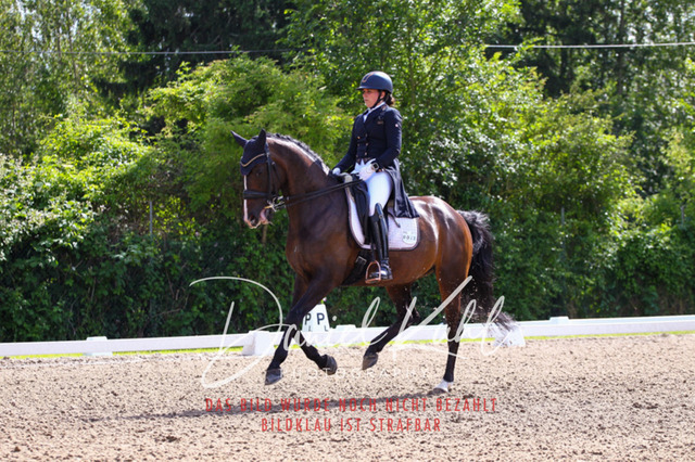DKP41344 | Turnierfotos kaufen im Webshop von Daniel Kuhl Photography – entdecke professionelle Reitsportfotos aus Turnieren & Events. Hochwertige Turnierbilder online bestellen & sichern. Jetzt Fotos von Reitsportturnieren kaufen!