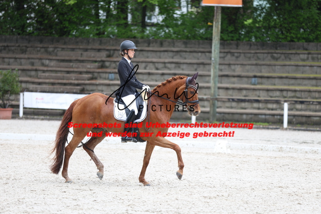 A40A9532 | lmwpictures - Realisiert mit Pictrs.com