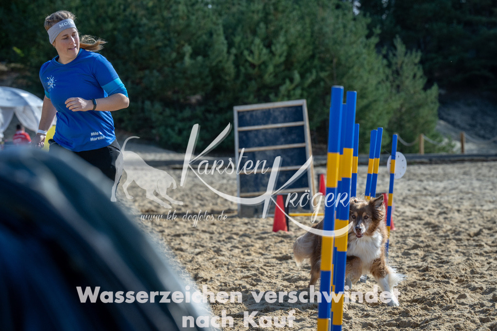 1213_ZZ92677-2 | kk-dogfotos