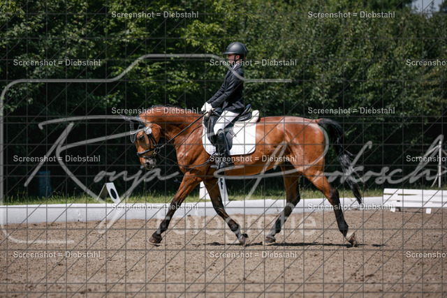 _W6A2229 | ronjaprokoschfotografie - Realisiert mit Pictrs.com