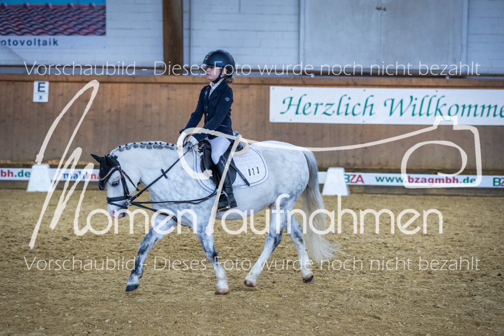 Sth-WBO25-RWBST-017 | MomenTaufnahmen Pferdesportfotos