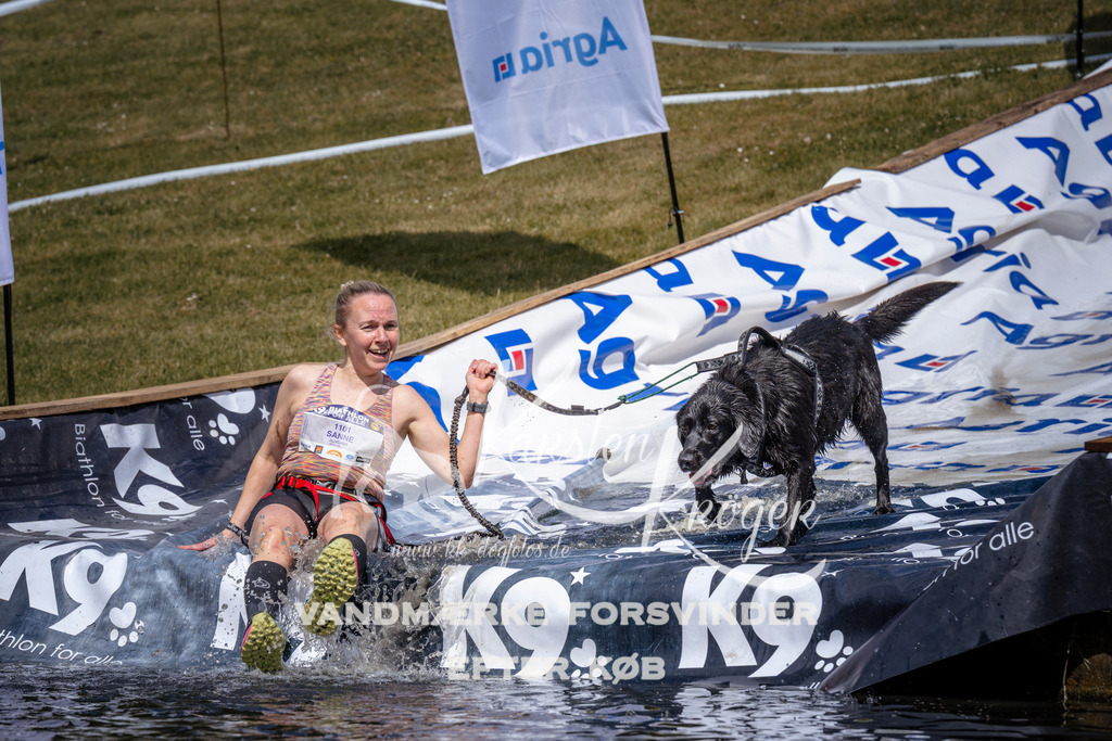 _ZZ939240949 | kk-dogfotos