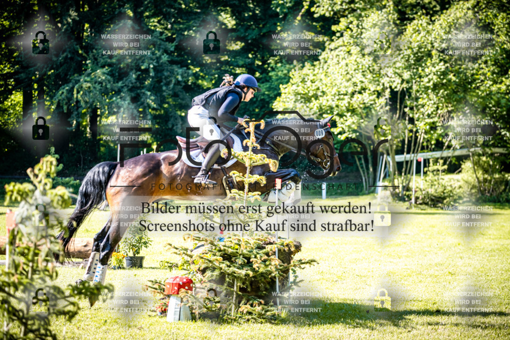 2026-05 - Melle Oldendorf-3-0094 | Entdecke hochwertige Reitturnierfotos von Foto Oger. Professionell, emotional und authentisch – jetzt Lieblingsmomente im Shop bestellen.Deutschlandweite Turnierfotografie. - Realisiert mit Pictrs.com