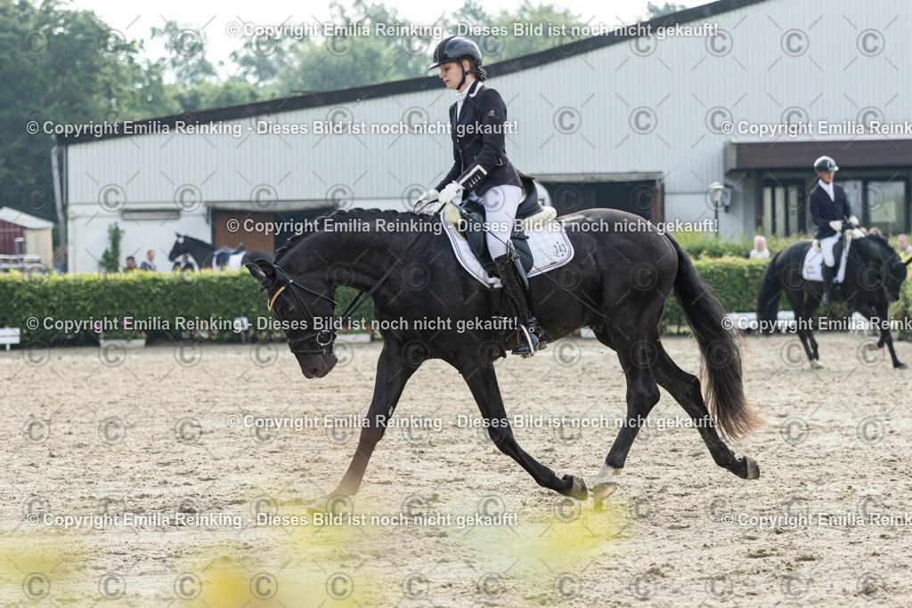 CL5A4012 | Emilia Reinking Fotografie - Realisiert mit Pictrs.com