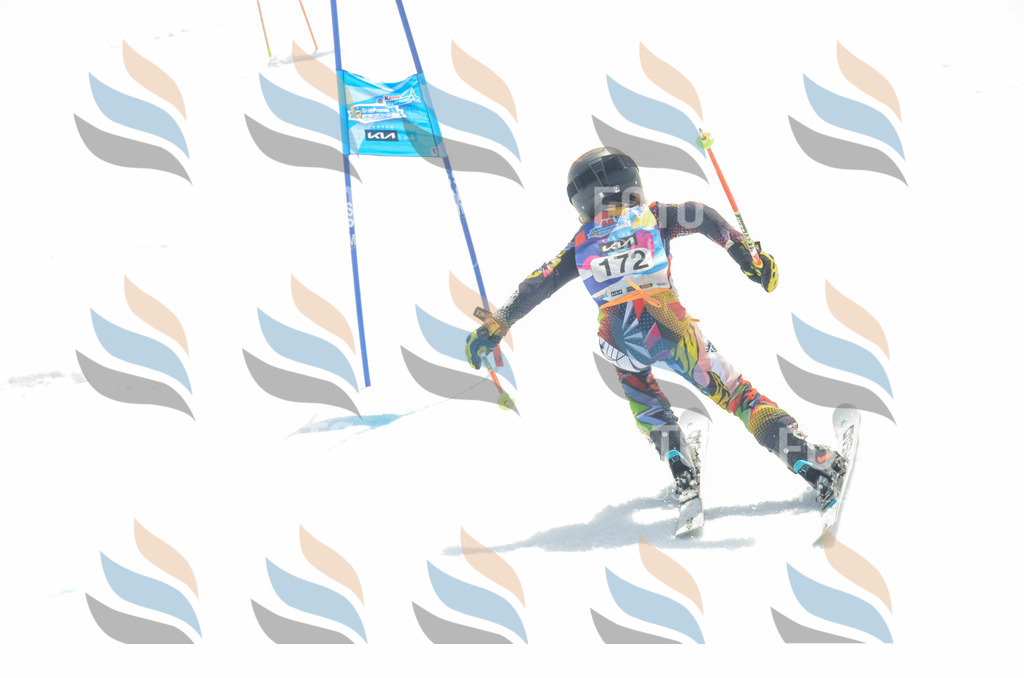 _ELE6570 | holidayphoto