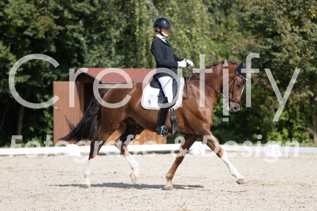 IMG_3700 | Creatify Fotografie