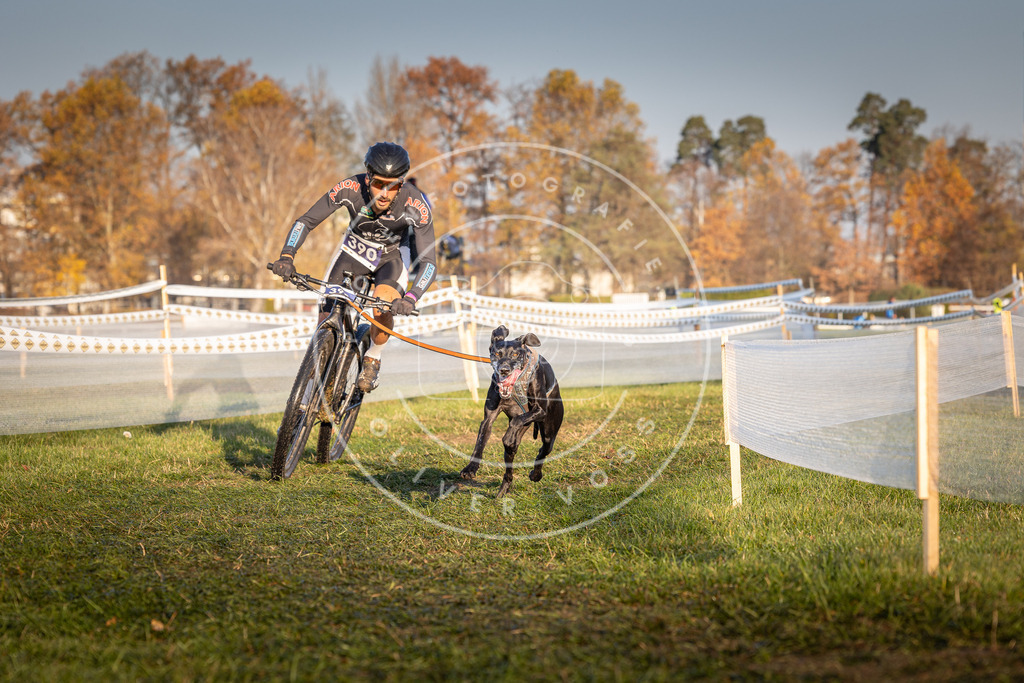 CaniXpix_0L8A3840 | Hundefotografie, Tierfotograf, Pfotenfotografie, Fotoshooting Hund, Hunde Portrait, Hundesport, Hundeportraits, Heideshooting, Hunde, Sportfotograf, Hundefotograf, Turnierhundsport, THS,  - Realisiert mit Pictrs.com