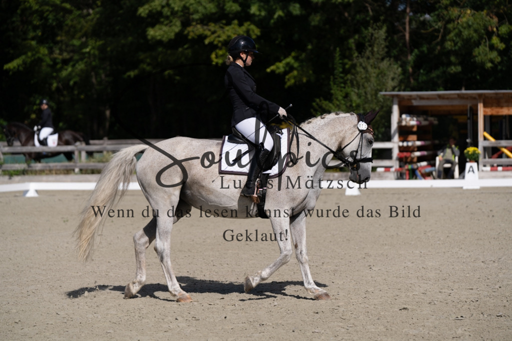 A7V07037 | Turnier/Reitfotograf