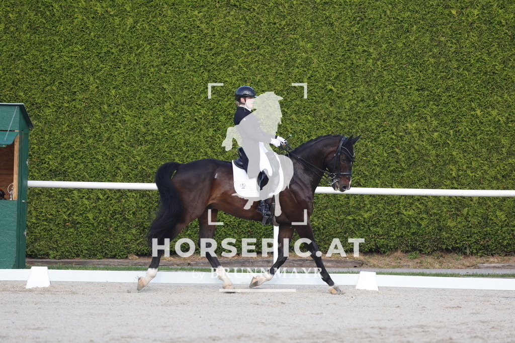 0P6A3735 | Willkommen bei Brunnmayr - Design & Fotografie – Ihrem Spezialisten für Reitturniere und Pferdeveranstaltungen in Oberösterreich, Salzburg und Bayern! Seit über 17 Jahren sind wir leidenschaftlich dabei.