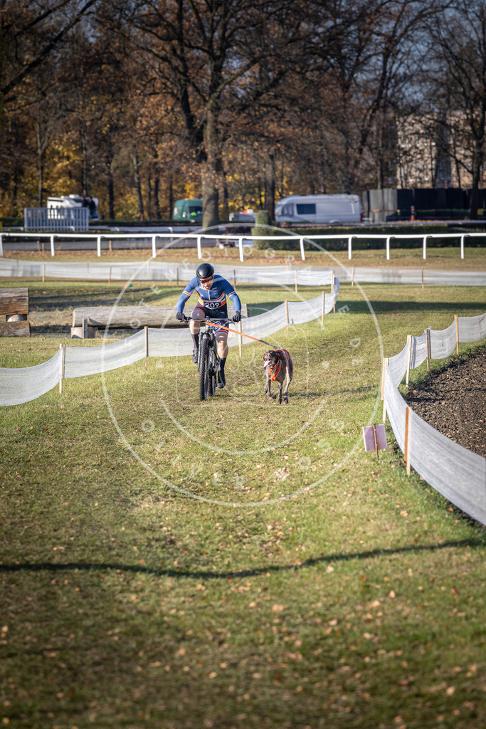 CaniXpix_DV3A3014 | Hundefotografie, Tierfotograf, Pfotenfotografie, Fotoshooting Hund, Hunde Portrait, Hundesport, Hundeportraits, Heideshooting, Hunde, Sportfotograf, Hundefotograf, Turnierhundsport, THS,  - Realisiert mit Pictrs.com
