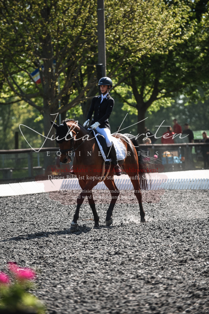 DSC_8911 | Pferde- und Turnierfotografie in Westsachsen. Pferdeportraits, Auftragszeichnungen und intuitive Kunst.