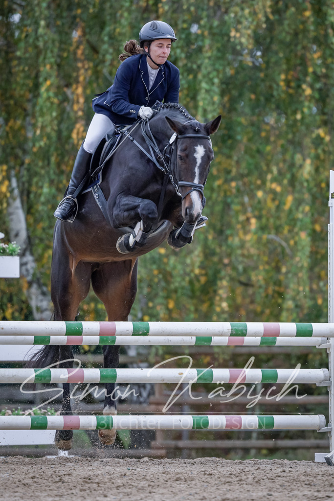 20251012-_3LI4619 | Tierfotografie Pferde, Hunde, Katzen, Haustiere.
Turnierfotografie Reitturniere, Reiten, Springreiten, Dressur in Hanau, dem Main-Kinzig-Kreis und dem Rhein-Main- Gebiet um Frankfurt