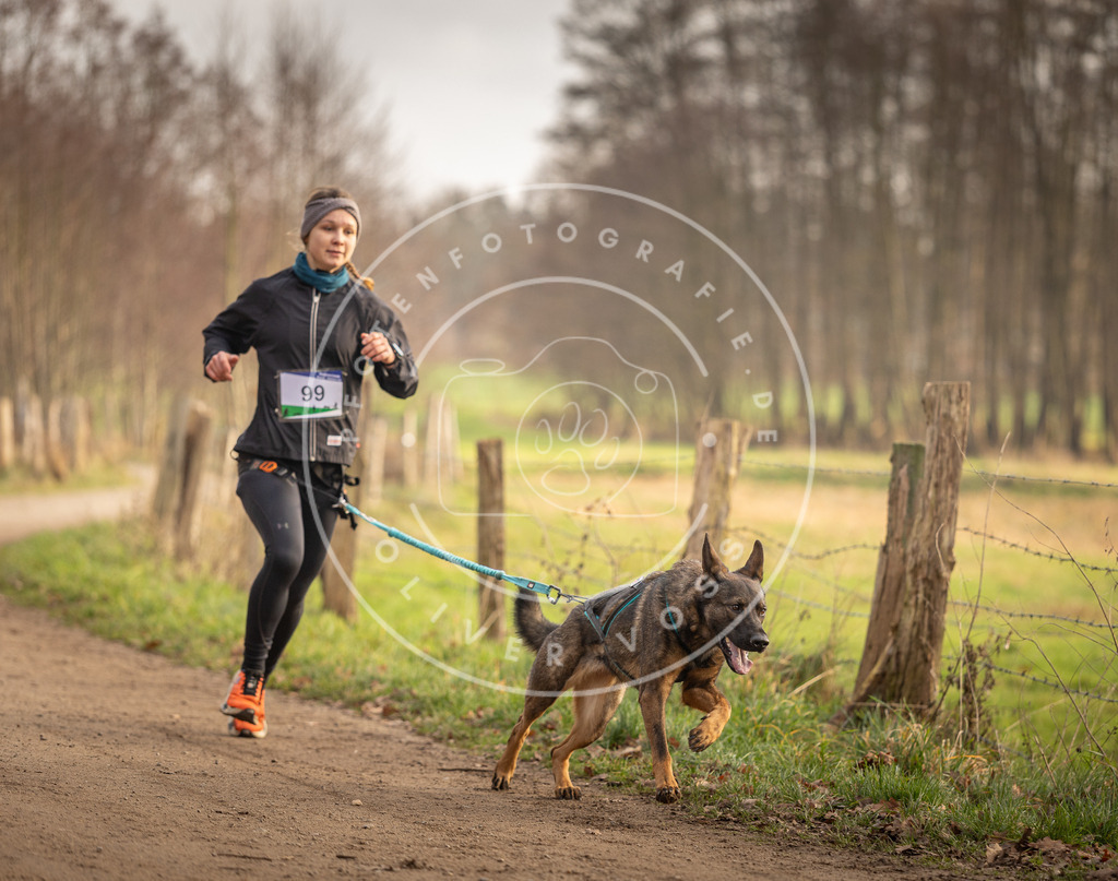 Pfotenfotografie_DV3A4520 | Hundefotografie, Tierfotograf, Pfotenfotografie, Fotoshooting Hund, Hunde Portrait, Hundesport, Hundeportraits, Heideshooting, Hunde, Sportfotograf, Hundefotograf, Turnierhundsport, THS,  - Realisiert mit Pictrs.com