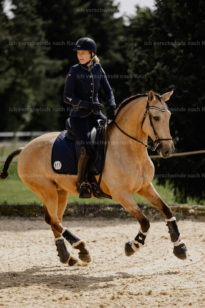 Diana11_FHC2025-20620 | working equitationturnier fotograf videograf stoibphotography marixx film working equitation deutschland reitsport turnierfotografie eventfotografie equestrian events