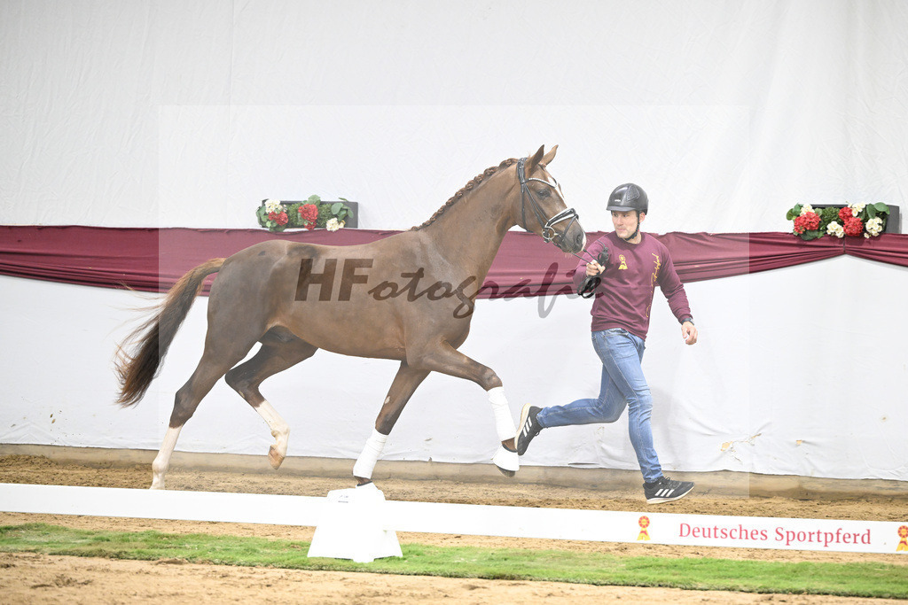 Kat-Nr. 138 Flashbang x Benetton Dream_Christian Gaeher_47251425 | hf-fotografie - Realisiert mit Pictrs.com