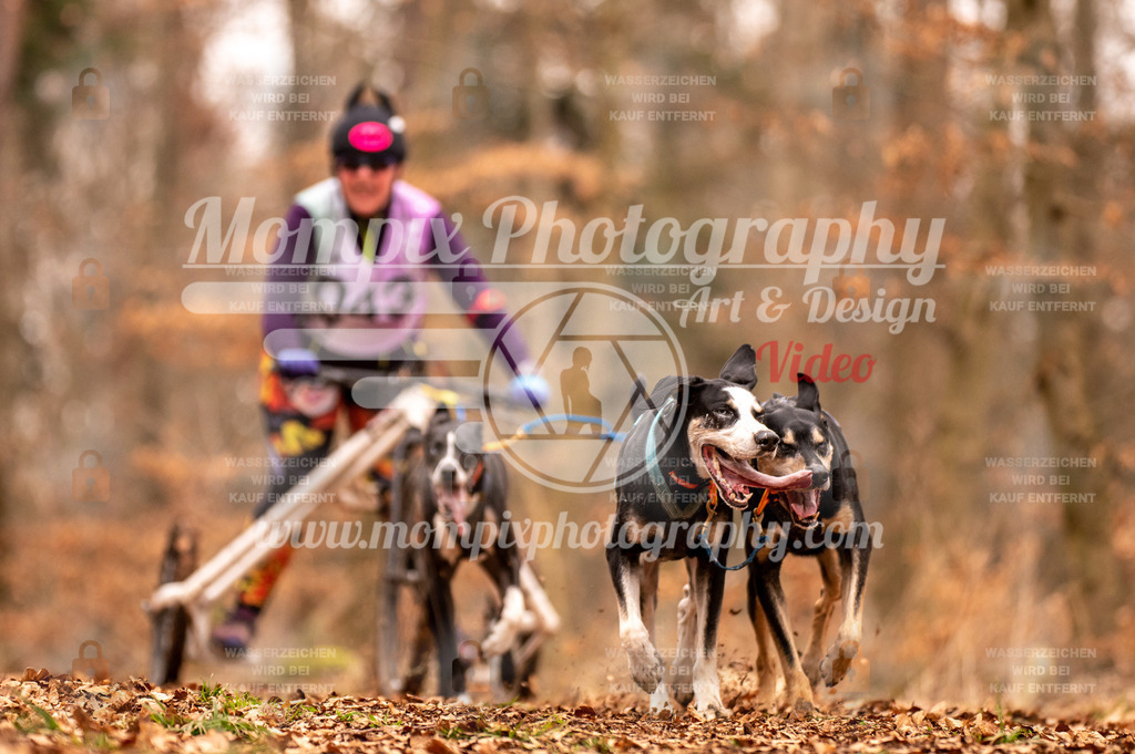 AKM_ST_2023_SAM_DR4-34 | PayLife