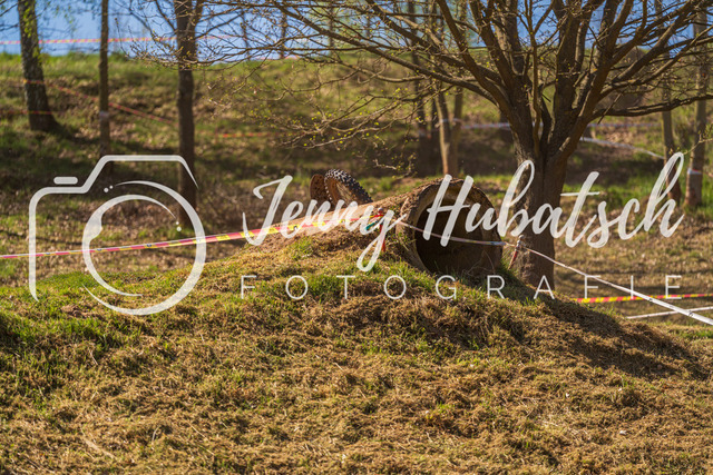 JHF.ECHT.4h.Samstag1396 | jennyhubatsch-endurofotografie