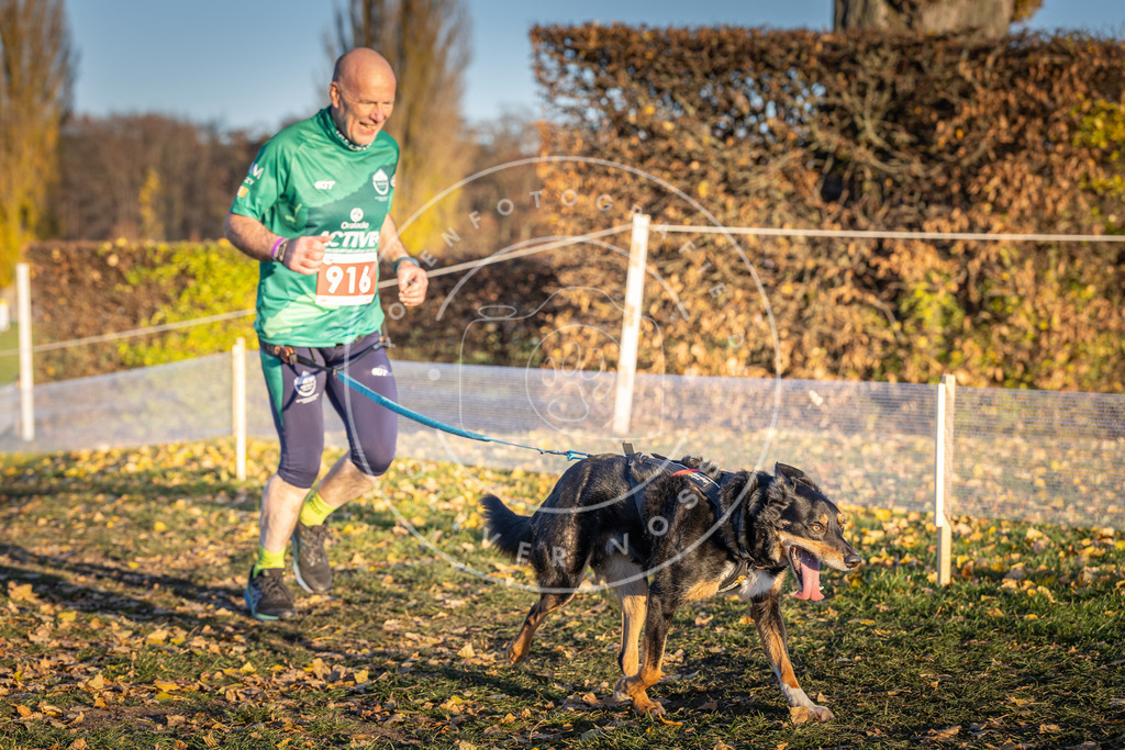 CaniXpix_DV3A4852 | Hundefotografie, Tierfotograf, Pfotenfotografie, Fotoshooting Hund, Hunde Portrait, Hundesport, Hundeportraits, Heideshooting, Hunde, Sportfotograf, Hundefotograf, Turnierhundsport, THS,  - Realisiert mit Pictrs.com
