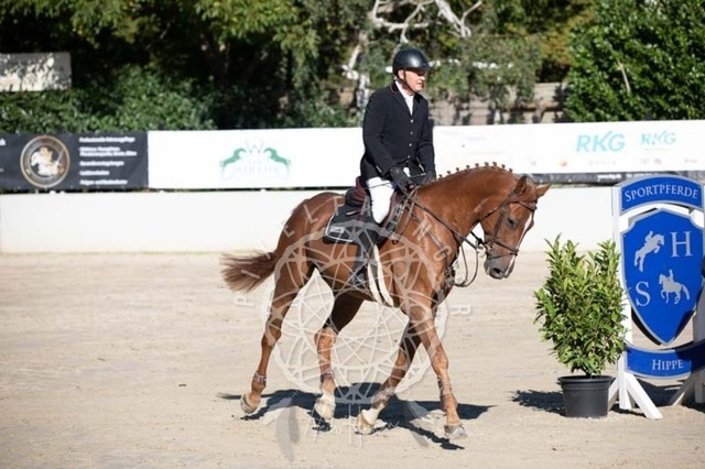 2B4A0592 | pixelfaenger - Realisiert mit Pictrs.com