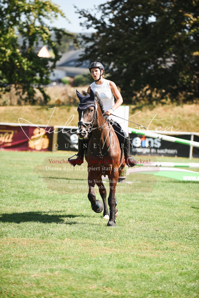 DSC_2871 | Pferde- und Turnierfotografie in Westsachsen. Pferdeportraits, Auftragszeichnungen und intuitive Kunst.
