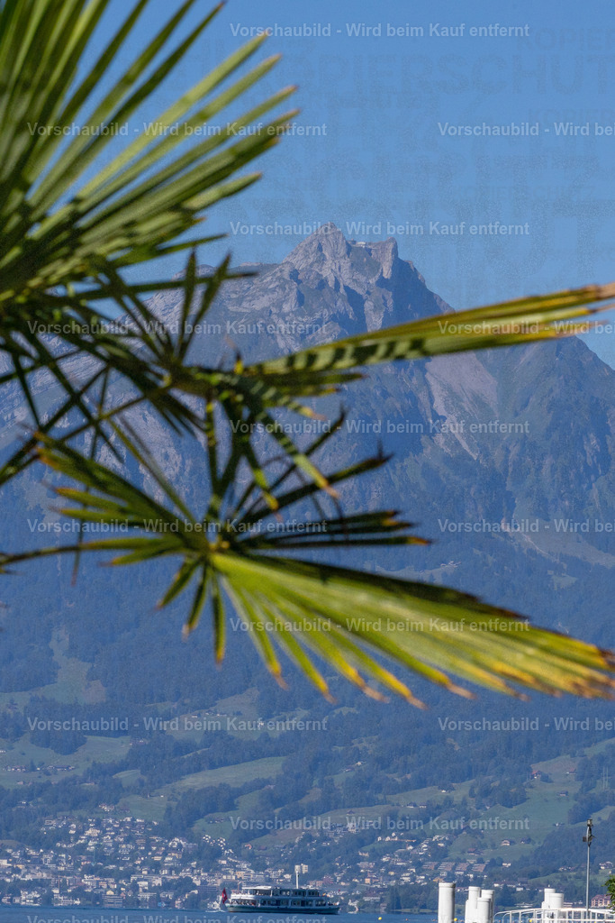 IMG_6077 | Stimmungsvolle Fotokunst aus Luzern. Erlebe den Pilatus, den See und die Stadt Luzern in exklusiven Aufnahmen in der Fotogalerie & Shop. - Realisiert mit Pictrs.com