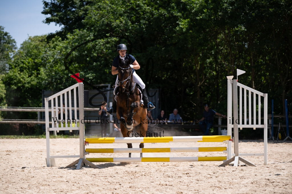 A7V08343 | Pferdefotograf