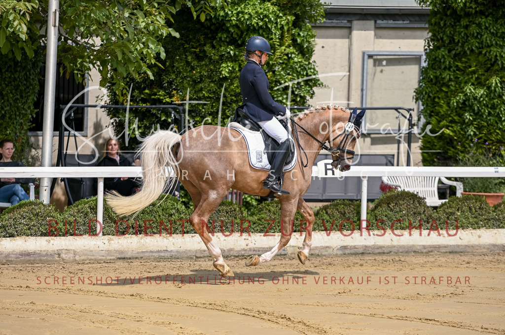 Schugtsche-Aluta25-48.Reitpferfdeprf.-50 | Schugtsche Fotografie - Realisiert mit Pictrs.com