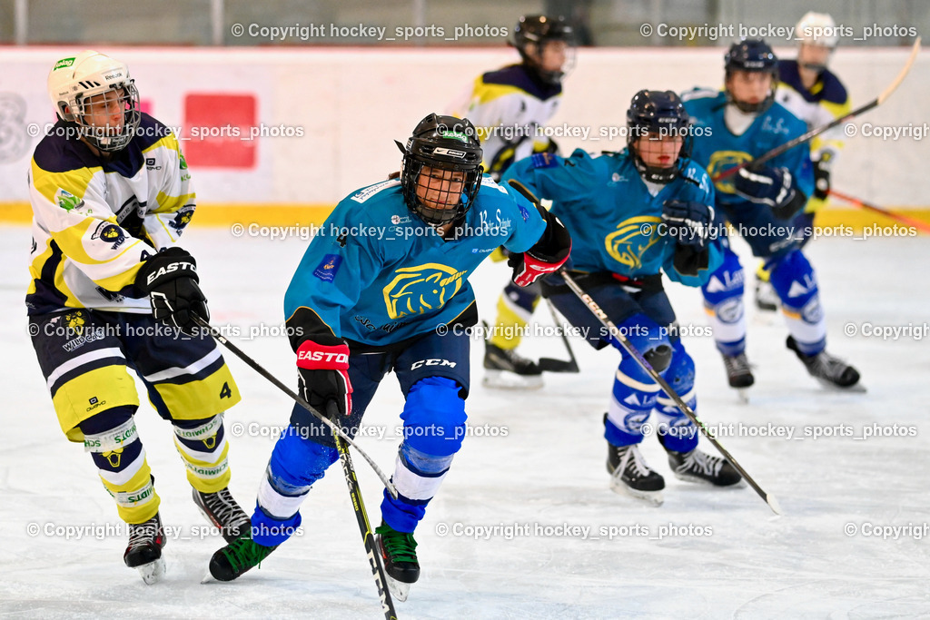 BST_6440 | hockey sports photos, Pressefotos, Sportfotos, hockey247, win 2day icehockeyleague, Handball Austria, Floorball Austria, ÖVV, Kärntner Eishockeyverband, KEHV, KFV, Kärntner Fussballverband, Österreichischer Volleyballverband, Alps Hockey League, ÖFB, 