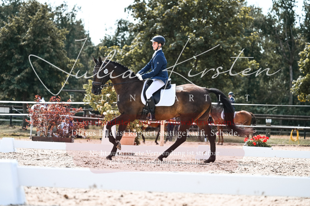 DSC_5445 | Pferde- und Turnierfotografie in Westsachsen. Pferdeportraits, Auftragszeichnungen und intuitive Kunst.